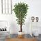 6ft. Variegated Ficus Tree in Handmade Natural Jute & Cotton Planter